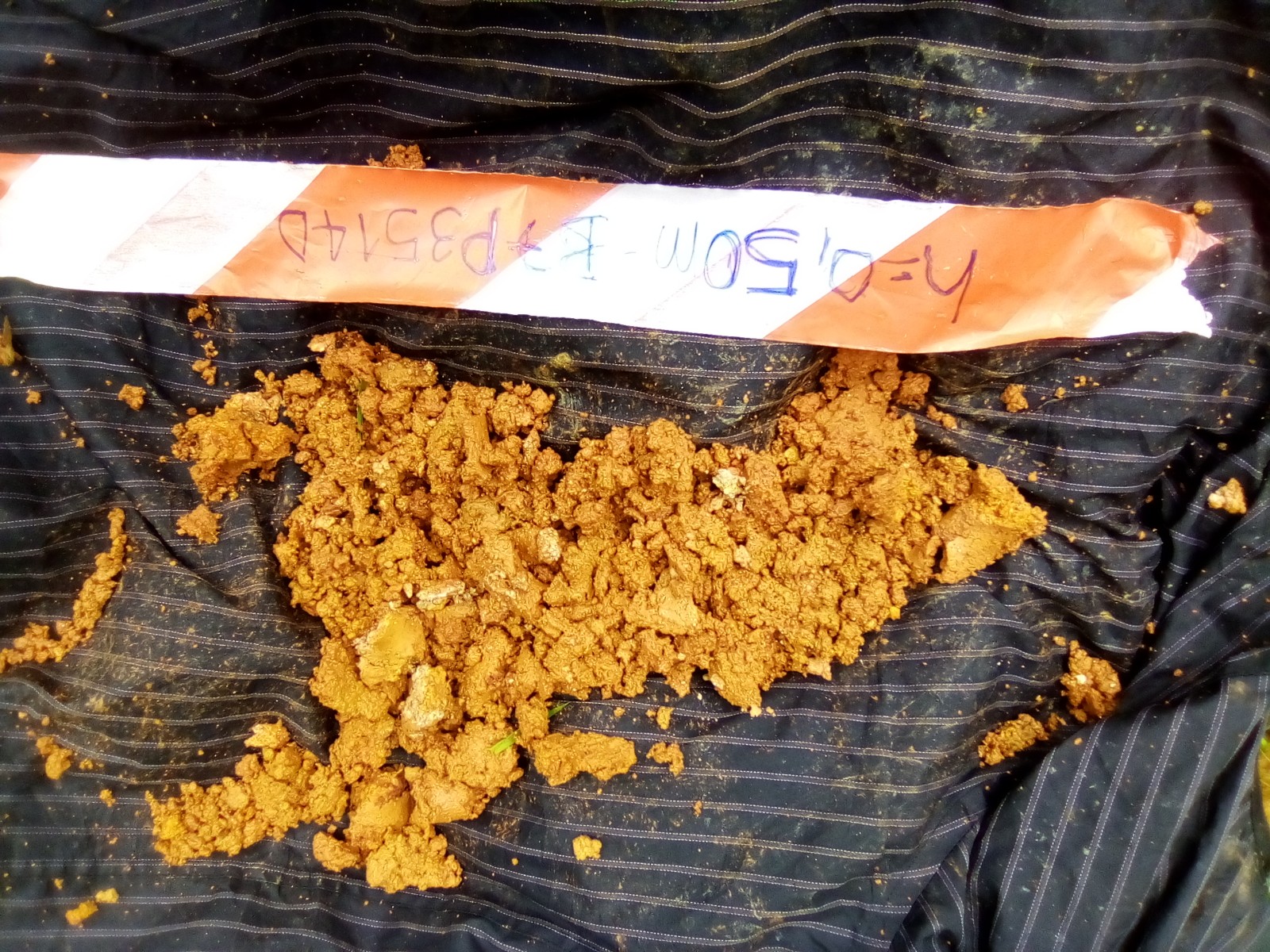 IMG_20220504_112958_7