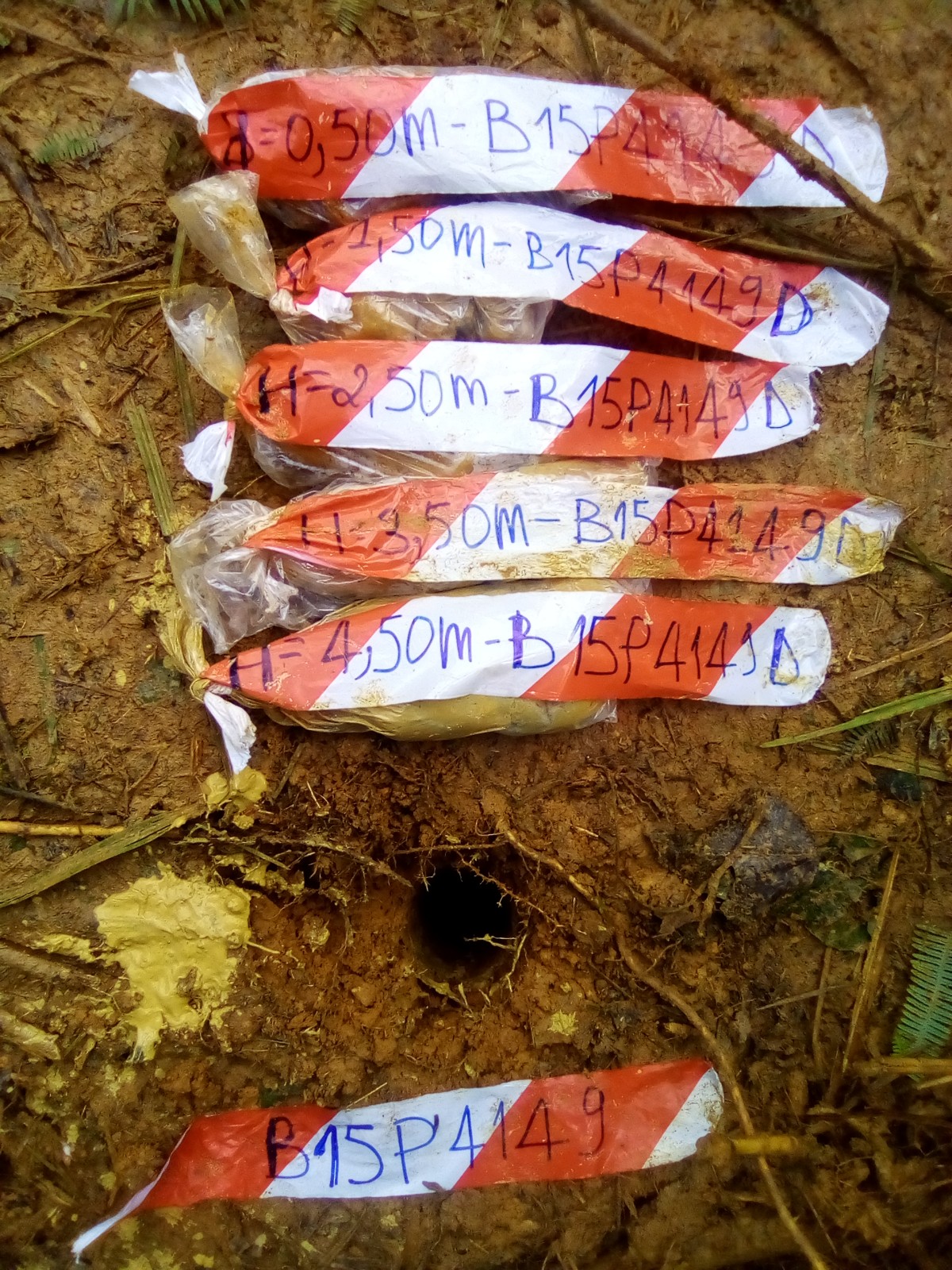 IMG_20220506_094509_4