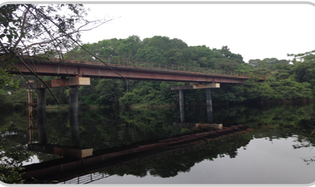 Route Assock-N’gom-Minvoul